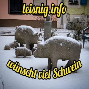 Mehr über den Artikel erfahren Jahresrückblick 2025 – Widerstand, Bewegung und Gemeinschaft