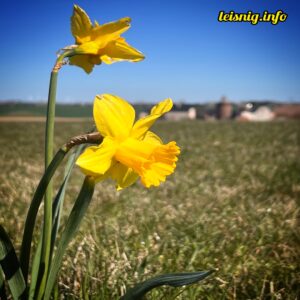 Mehr über den Artikel erfahren Frühlingswanderung