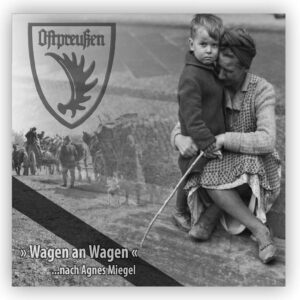 Mehr über den Artikel erfahren 8. Mai – #WirFeiernNicht