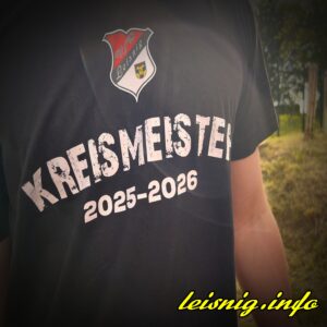 Mehr über den Artikel erfahren Unser VfB ist Kreismeister! 🏆