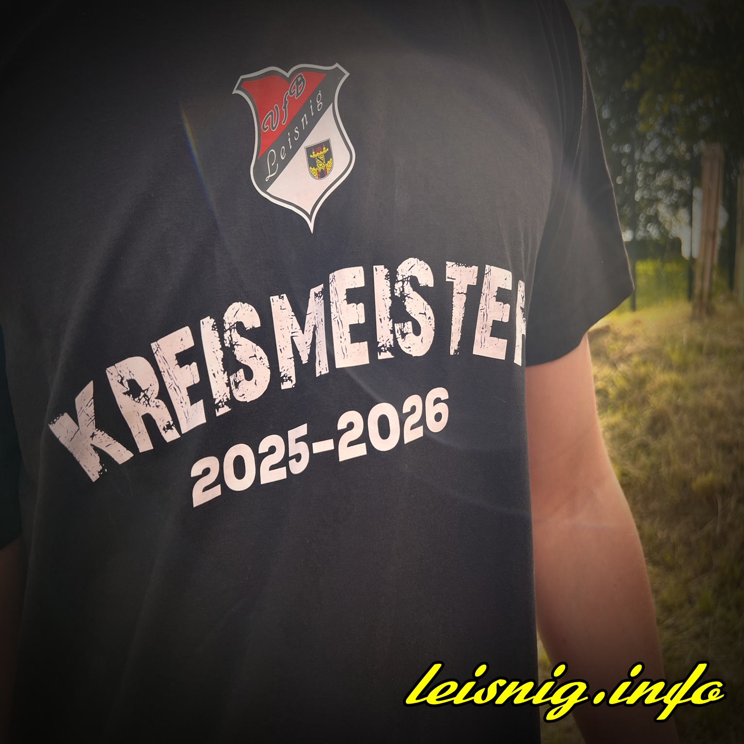 Du betrachtest gerade Unser VfB ist Kreismeister! 🏆